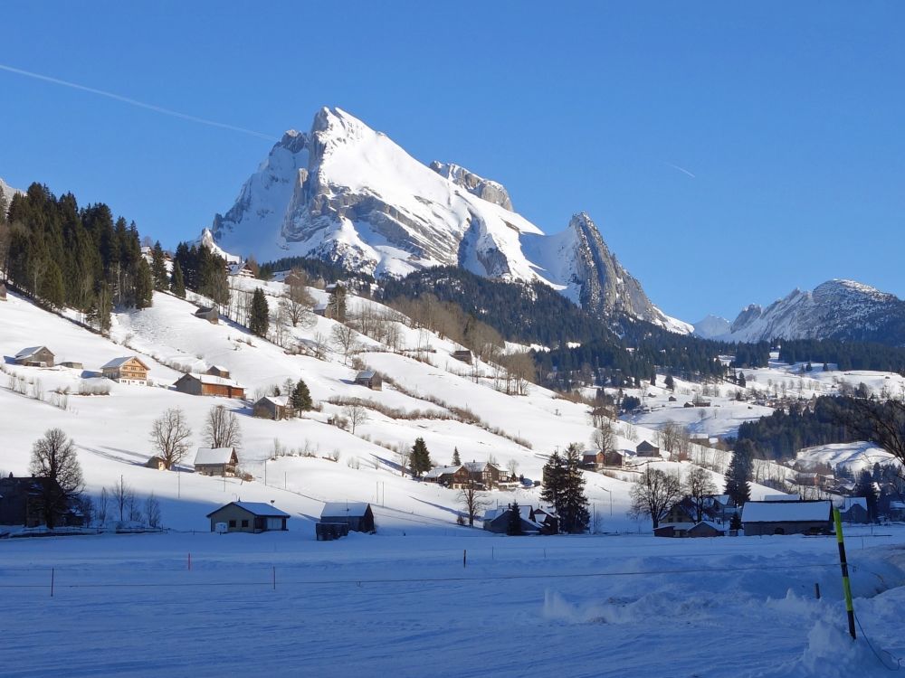 Wildhauser Schafberg