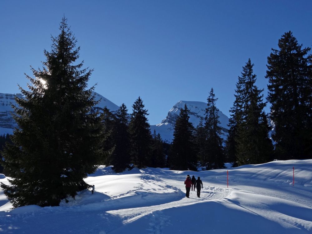 Winterwanderweg Richtung Brisi