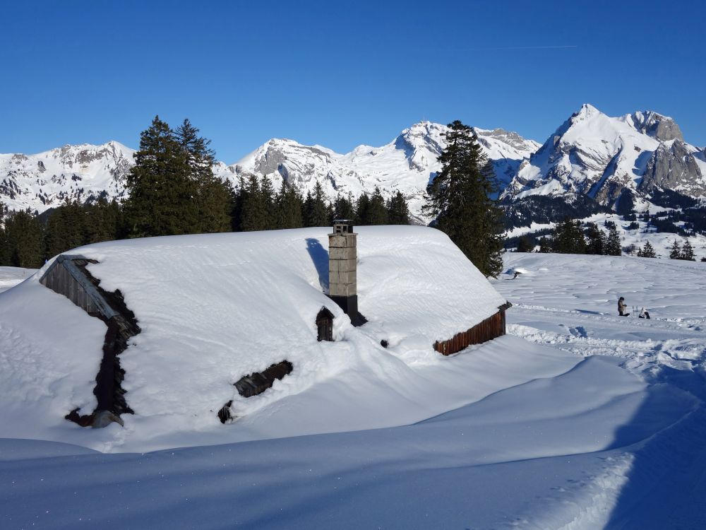 Silberplatten, Sntis, Wildhauser Schafberg