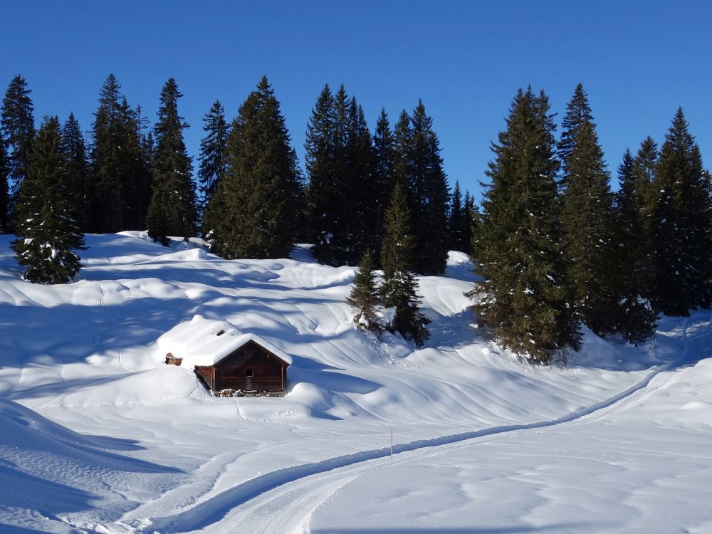 Htte am Winterwanderweg