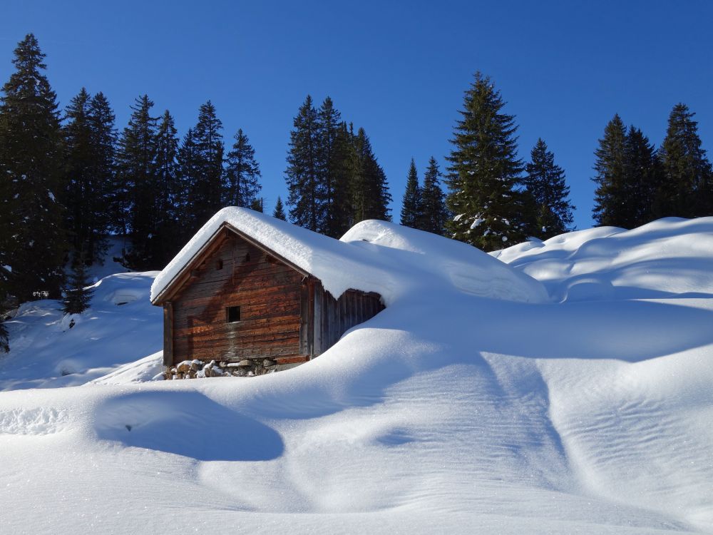 Htte am Winterwanderweg