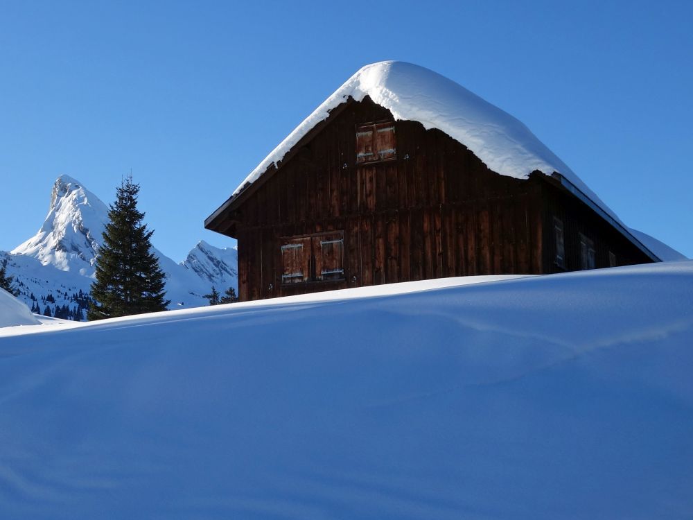 Hütte bei Mittelstofel mit Frümsel