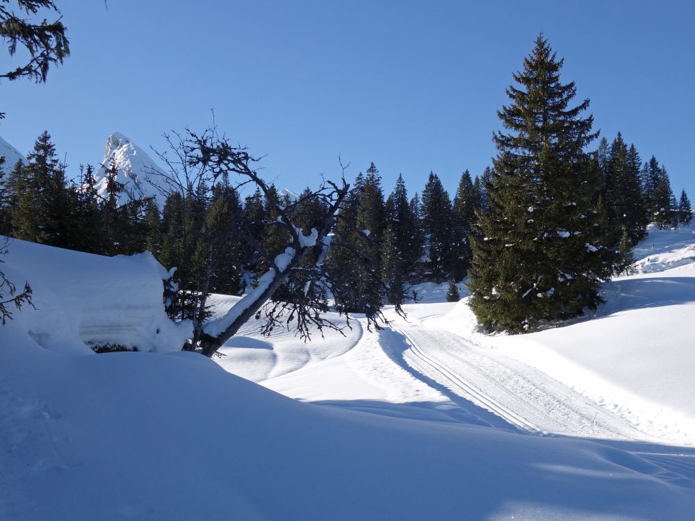Frümsel und Winterwanderweg