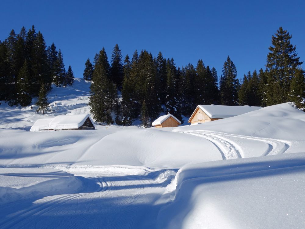 Winterwanderweg und Htten