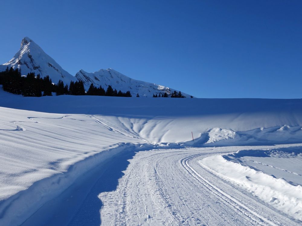 Winterwanderweg mit Frümsel und Selun