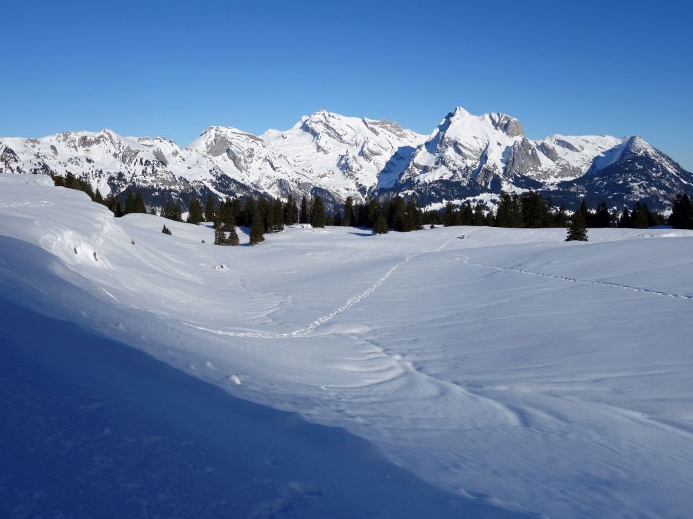 Alpstein mit Sntis und Wildhauser Schafberg