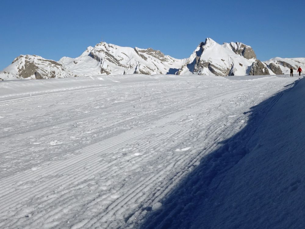 Winterwanderweg mit Sntis und Wildhauser Schafberg