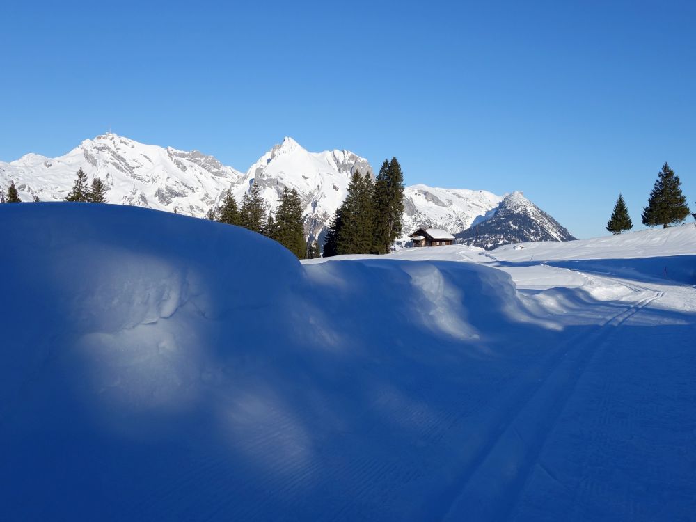 Sntis und Wildhauser Schafberg