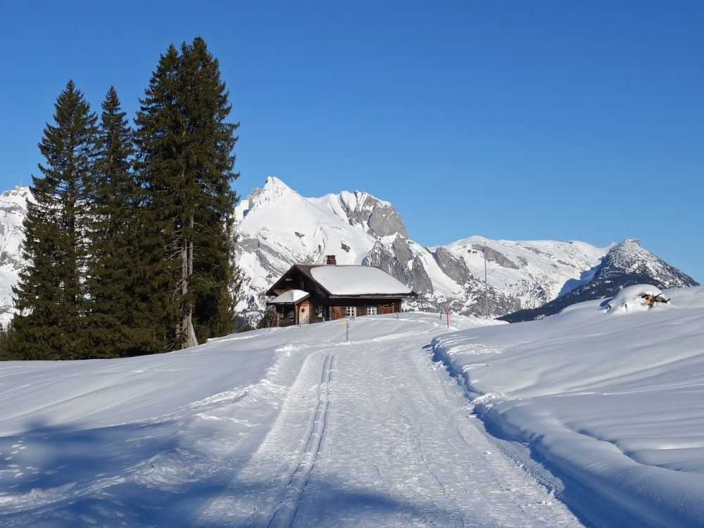 SAC-Hütte mit Wildhauser Schafberg und Gulmen