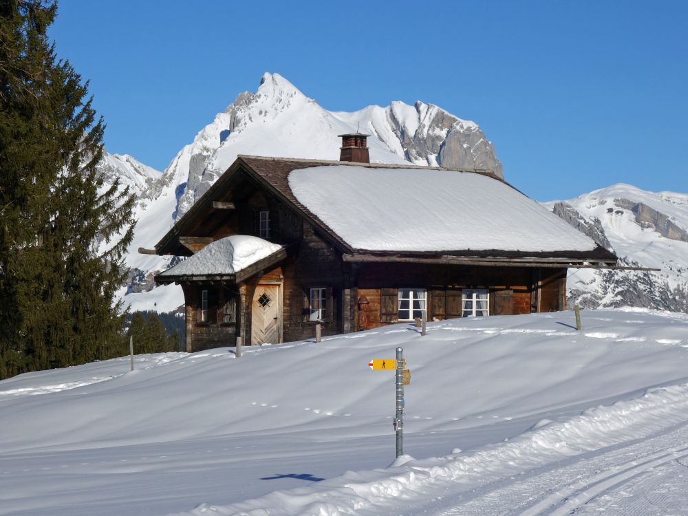 SAC-Htte Sektion Uzwil mit Wildhauser Schafberg