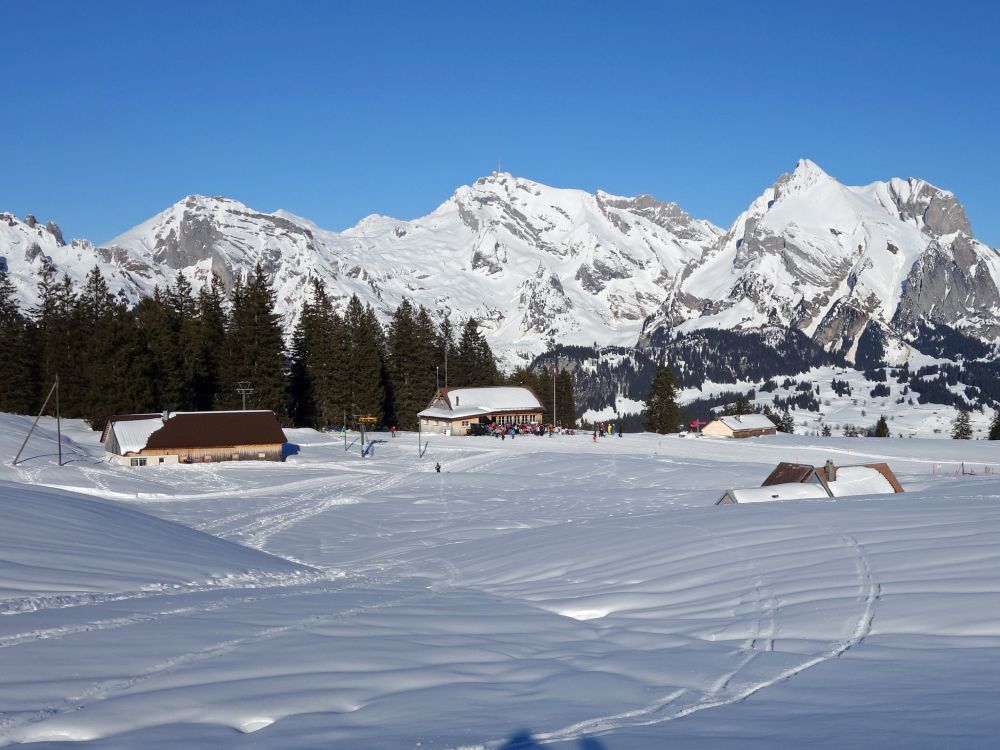 Zinggen mit Silberplatten, Sntis und Wildhauser Schafberg