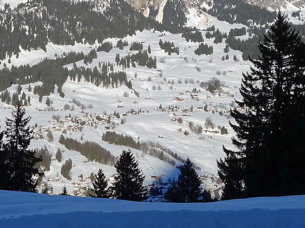 Sonnenhang zwischen Unterwasser und Wildhaus