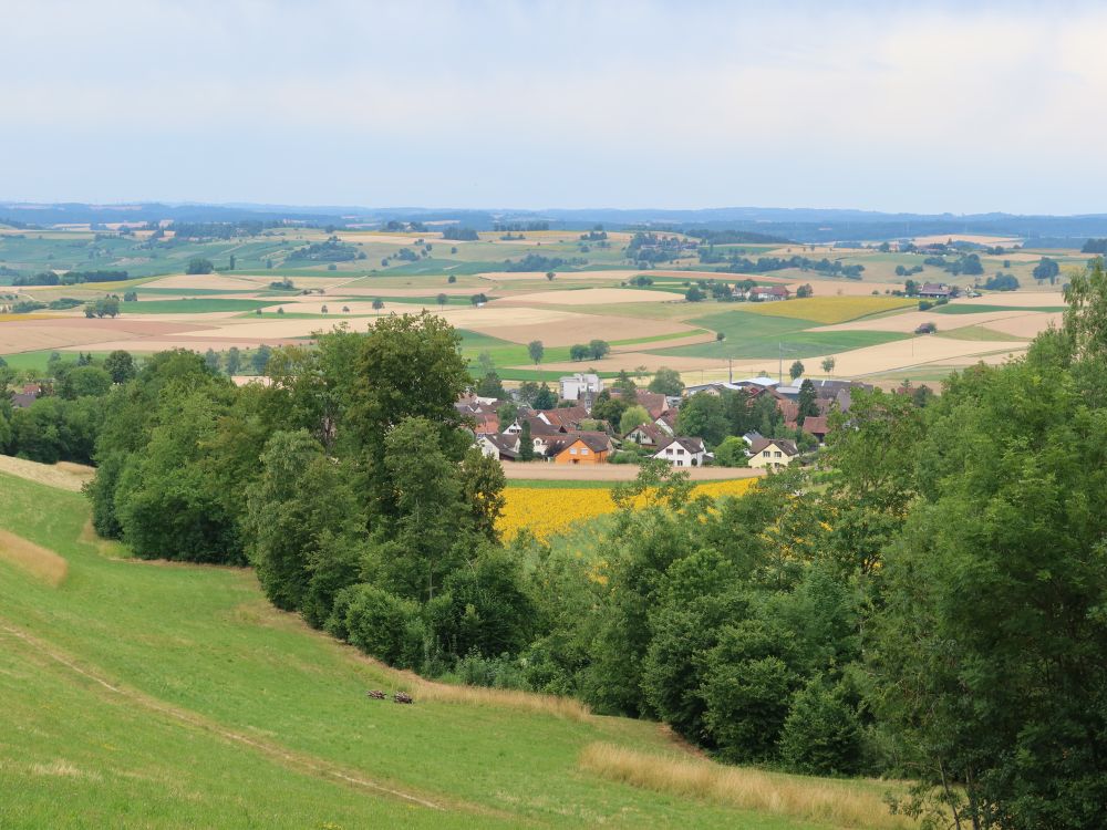 Blick ins Klettgau