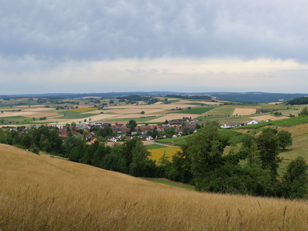 Blick ins Klettgau