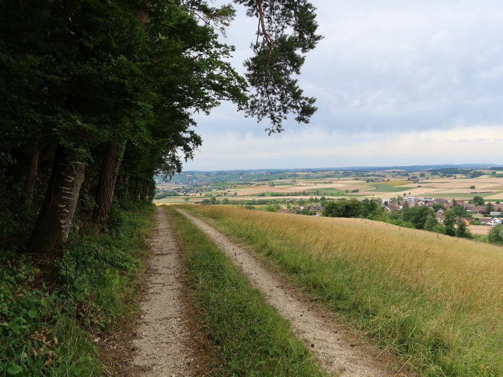 Weg am Waldrand