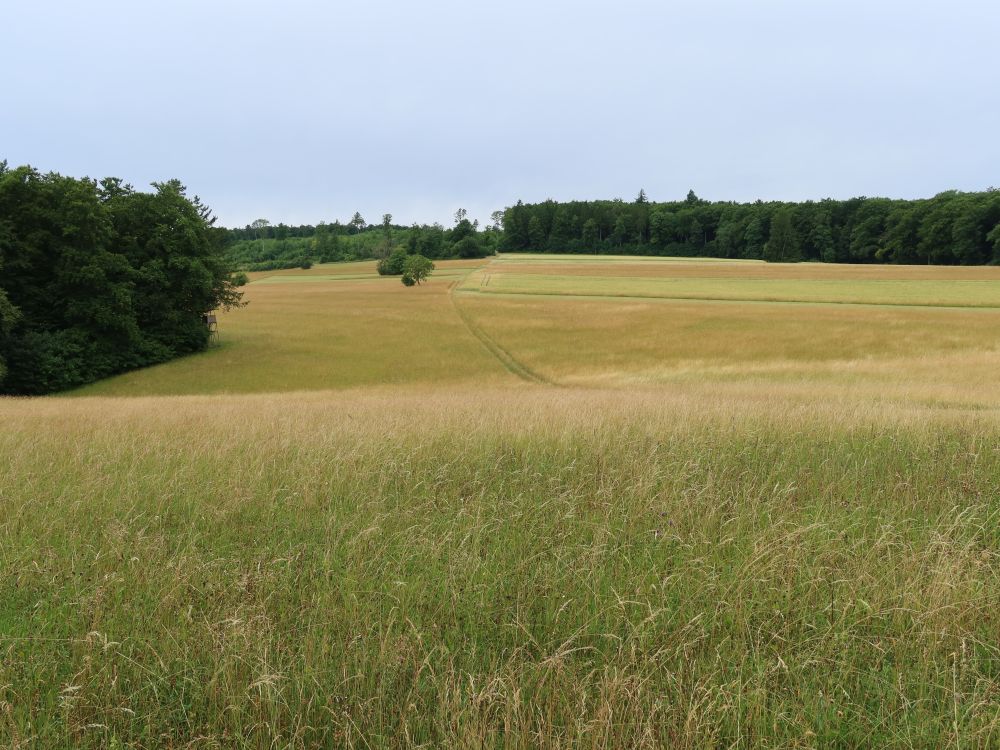 Hinterranden