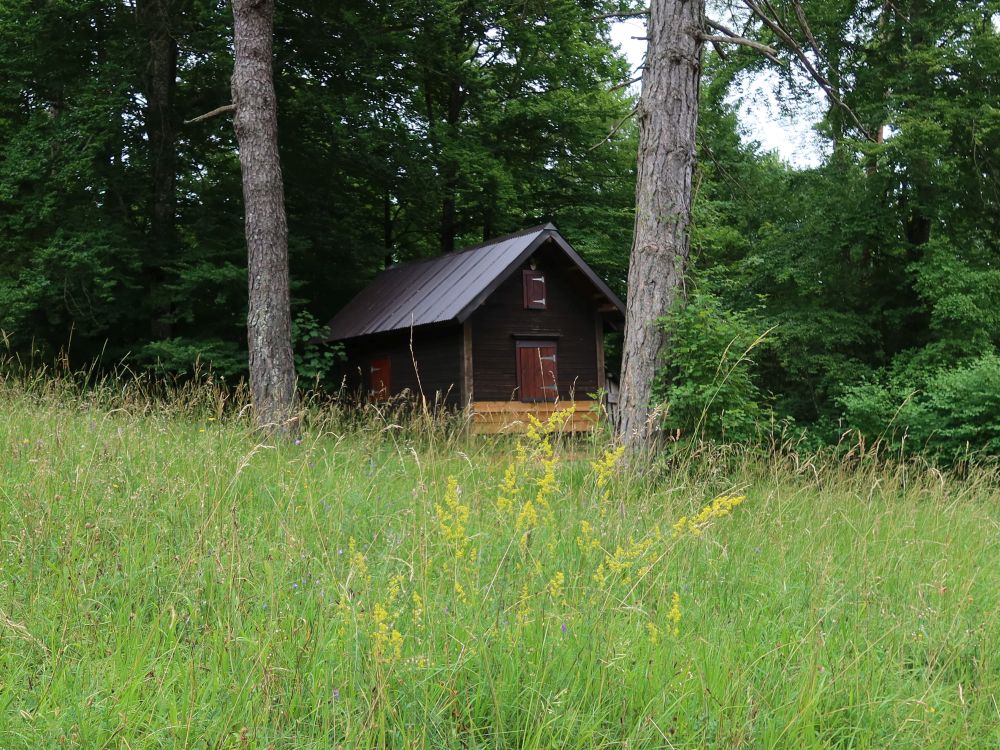 Waldhütte