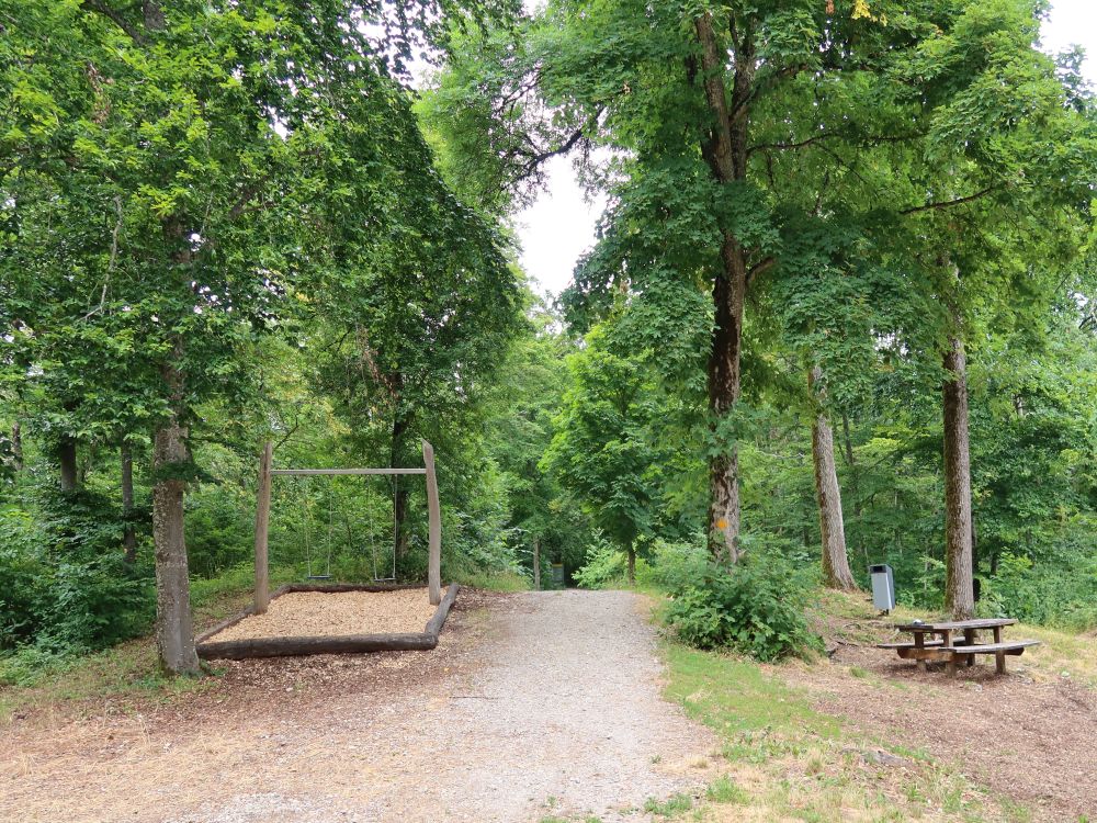 Schaukel am Picknickplatz