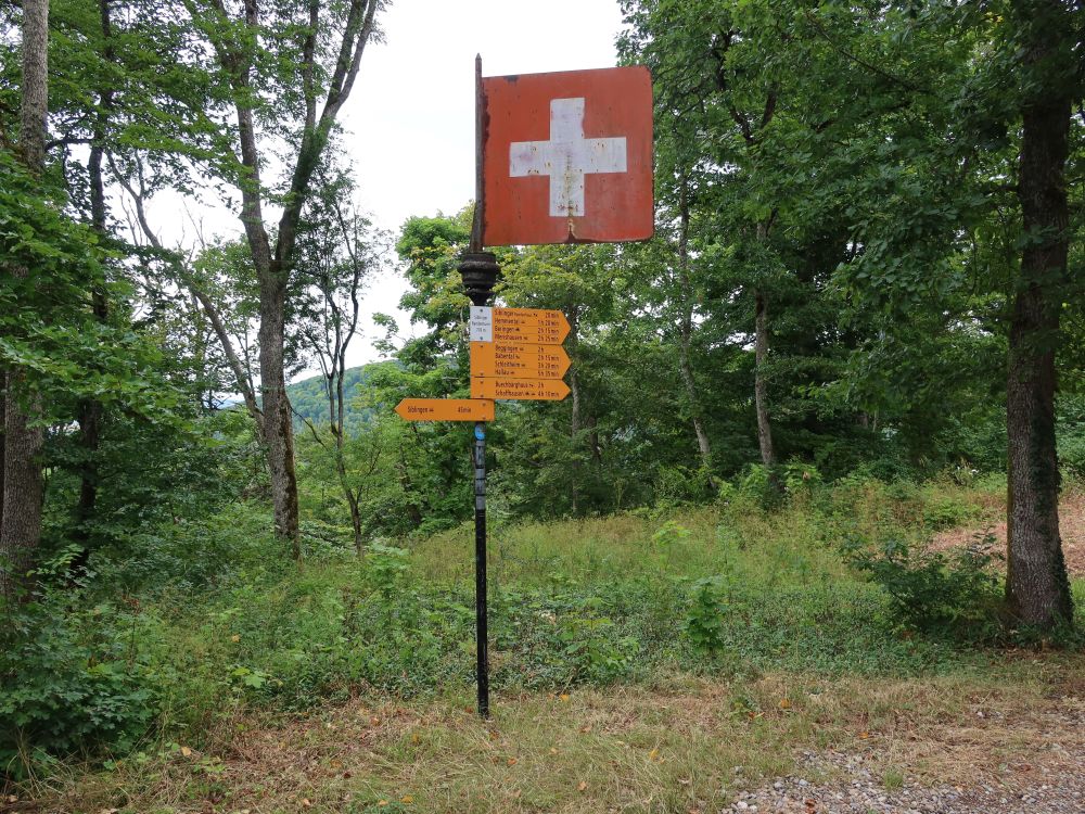 Wanderwegweiser und Flagge