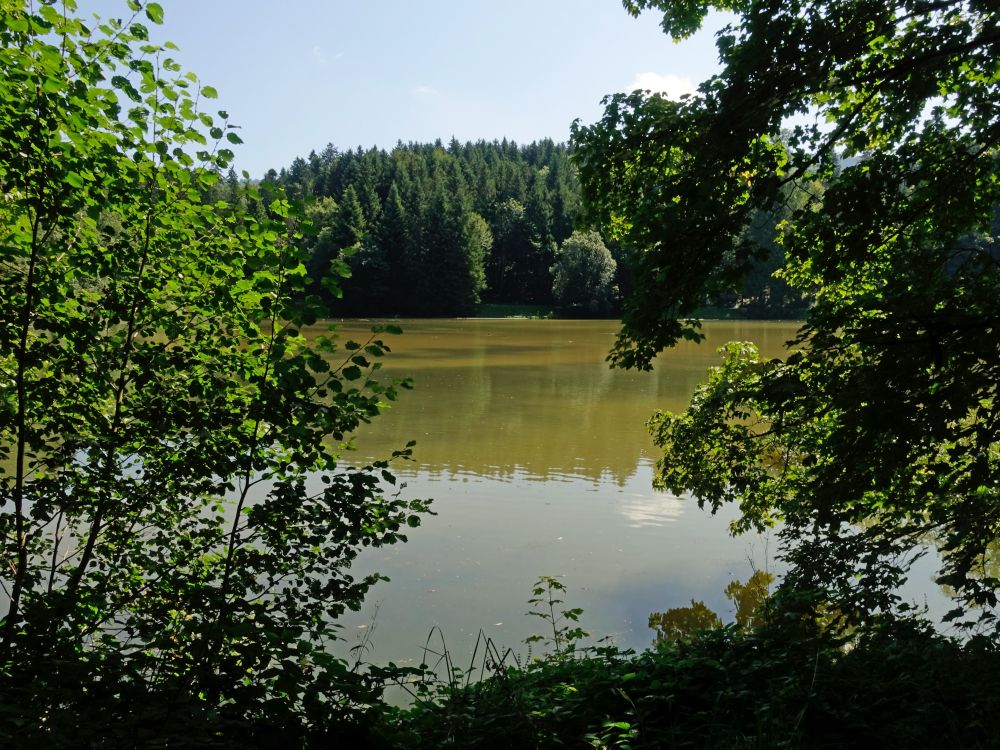 Teufenbachweiher