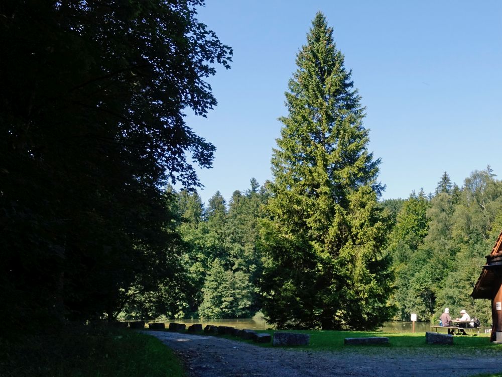 Picknickplatz am Teufenbachweiher