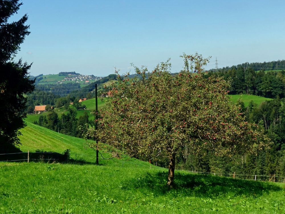 Blick Richtung Schönenberg