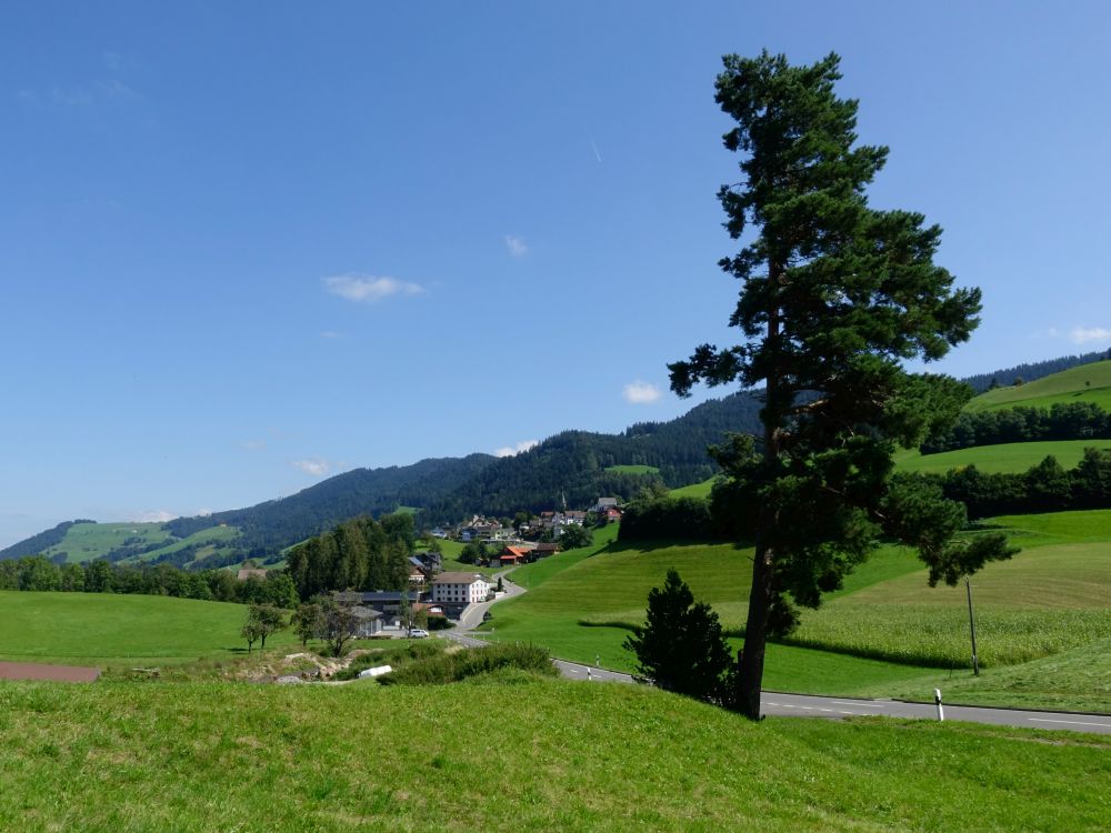 Blick Richtung Finstersee