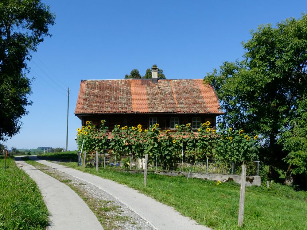 Haus bei Hintercher