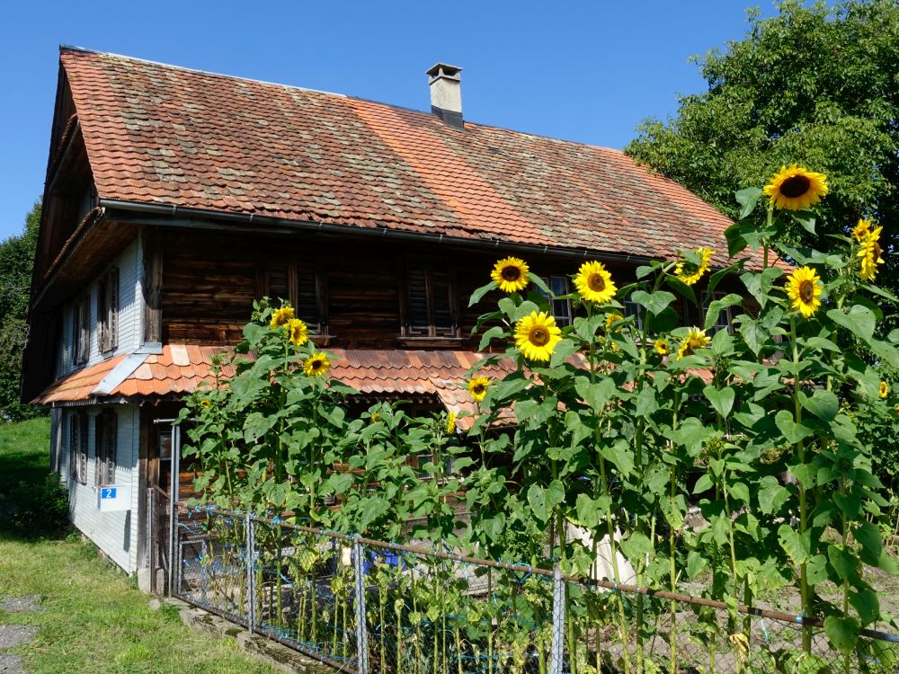 Haus bei Hintercher