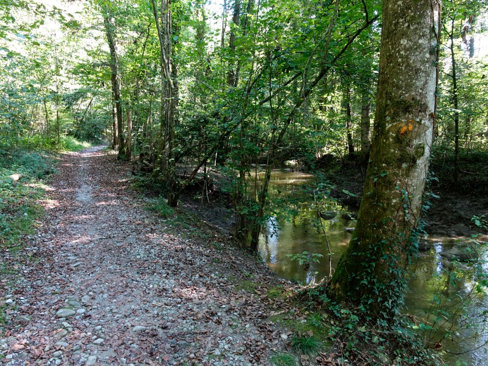 Uferweg an der Sihl