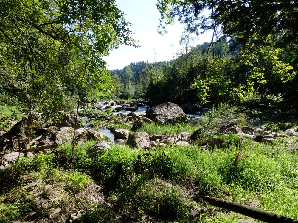 Felsbrocken in der Sihl