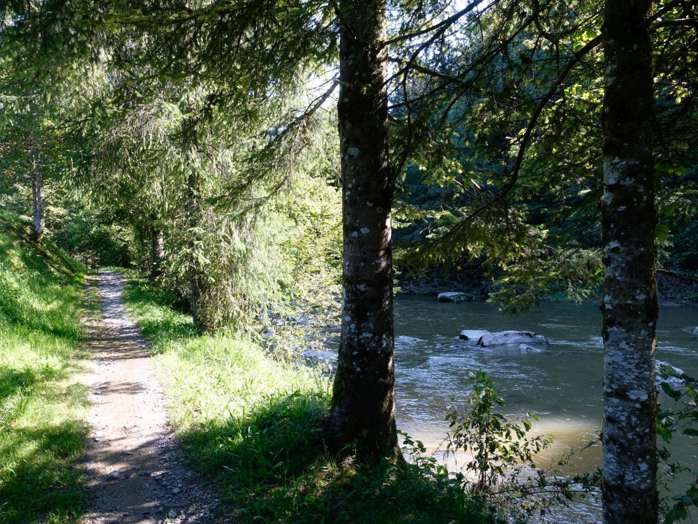 Uferweg an der Sihl