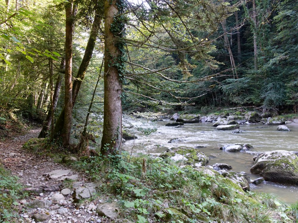 Uferweg an der Sihl