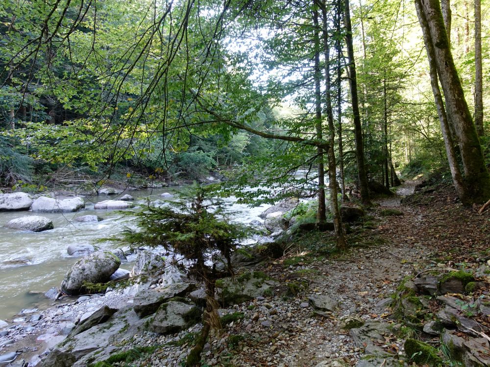 Uferweg an der Sihl