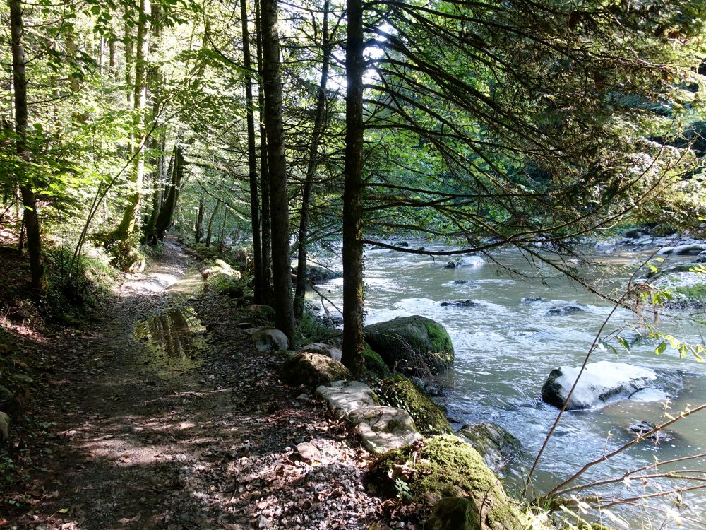 Uferweg an der Sihl