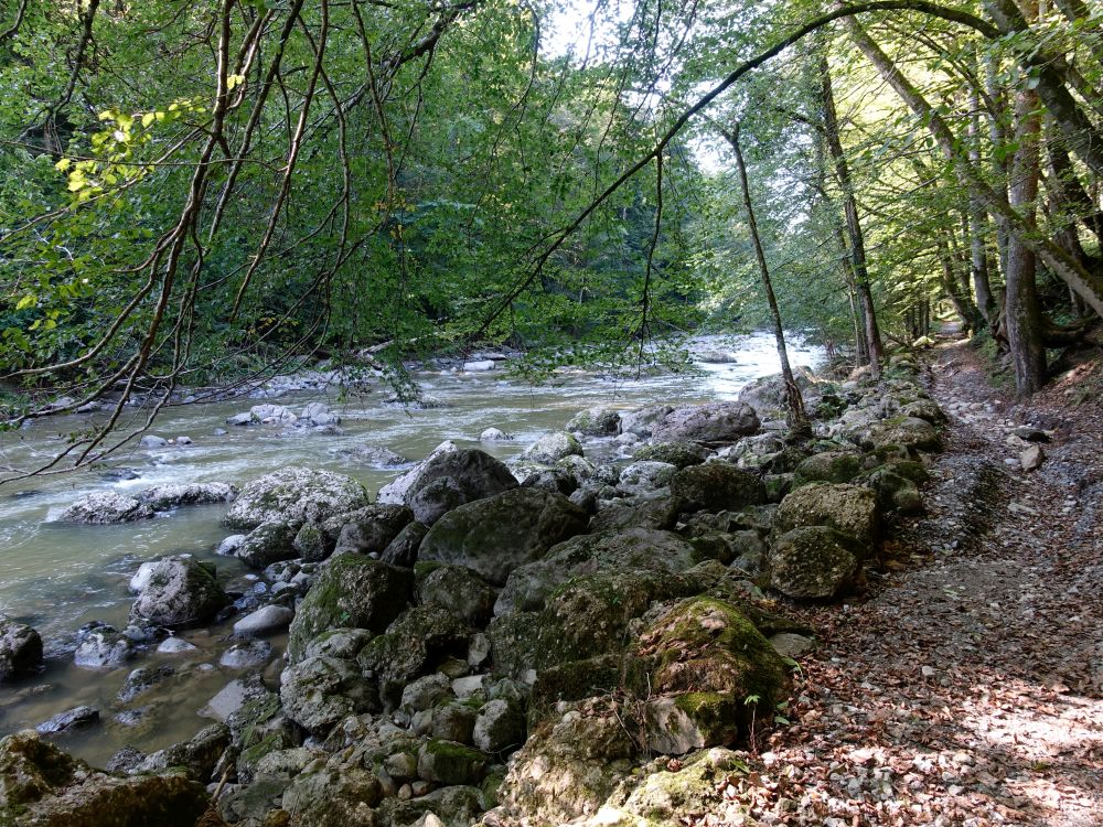 Uferweg an der Sihl