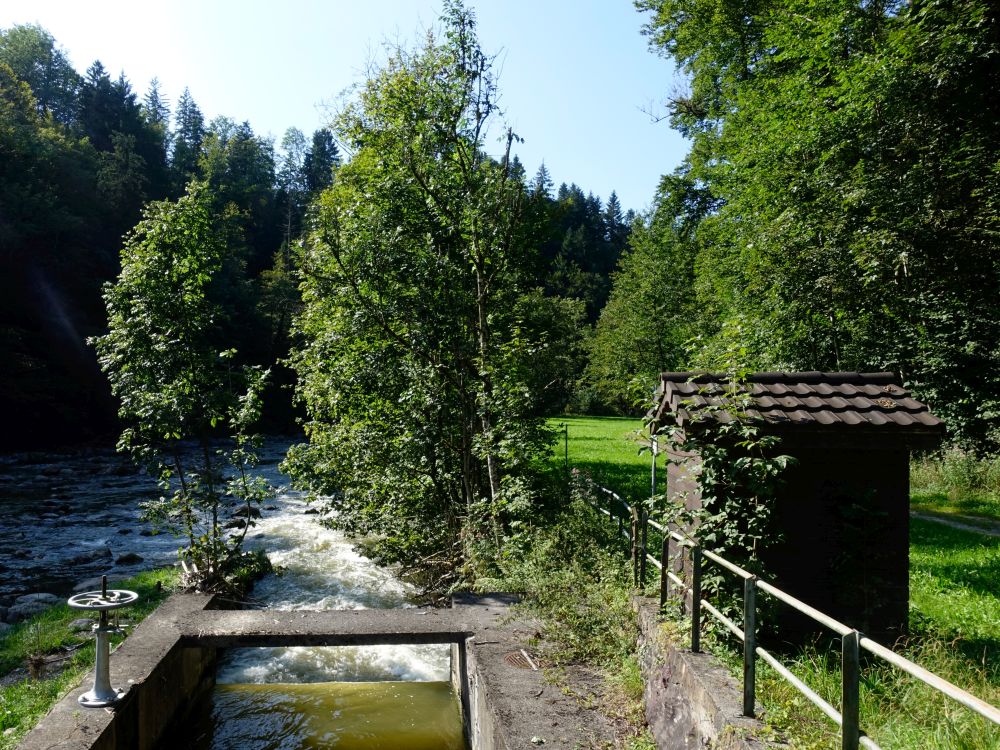 Wasserkraftwerk Waldhalde