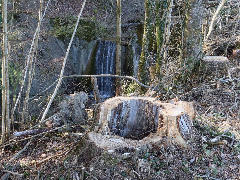 Wasserfall im Wesenmattobel