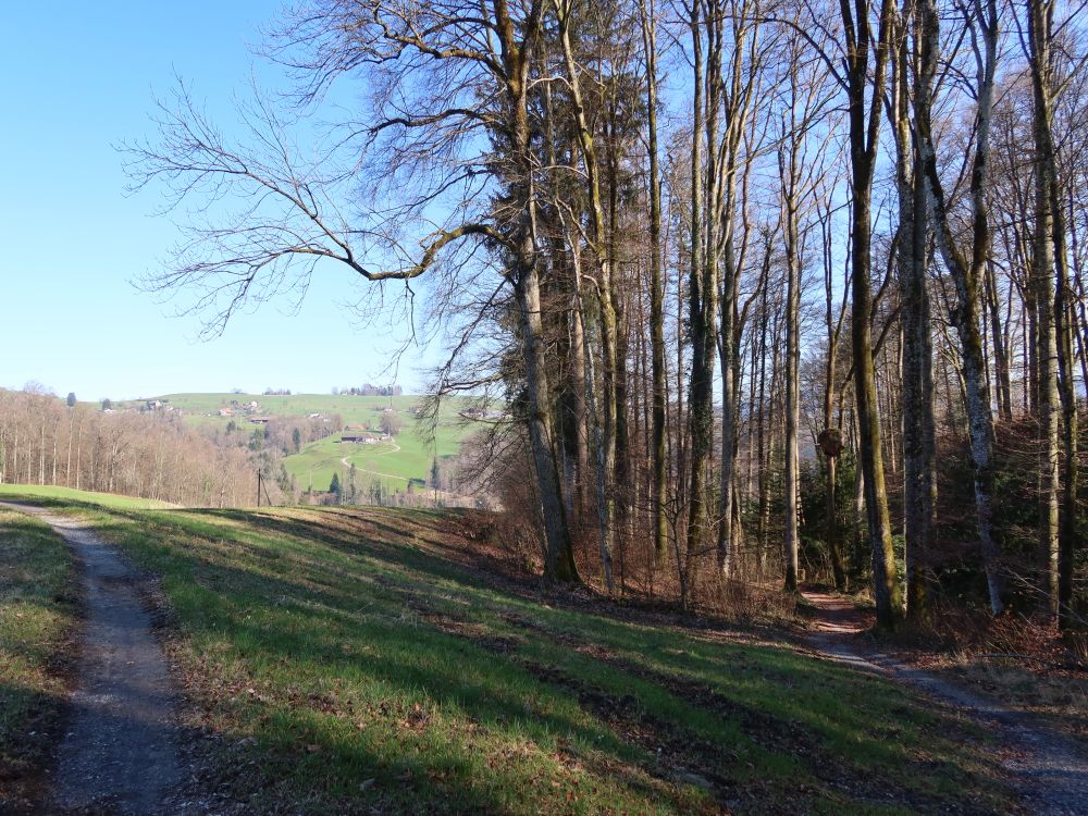 oberhalb Wesenmattobel