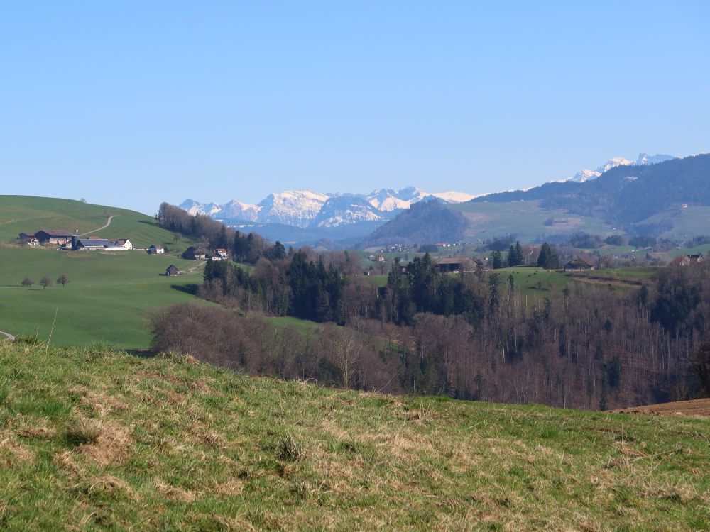 Tierberg, Rautispitz, Gross Aubrig, u.a.