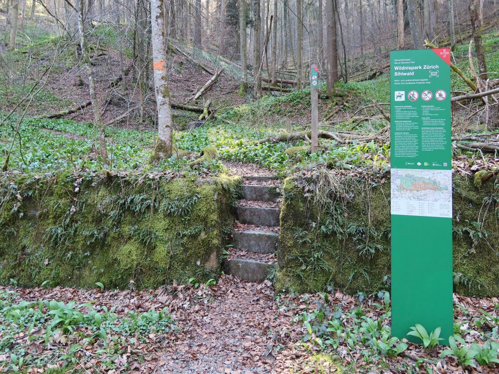 Infotafel zum Wildnispark