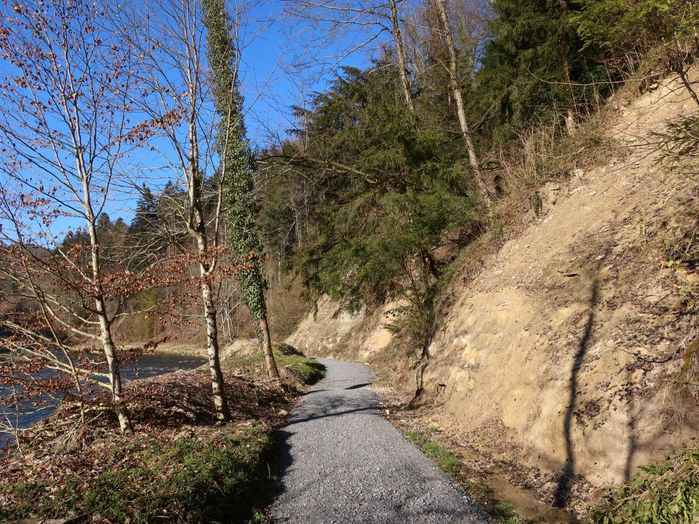 Sparrenauweg an der Sihl