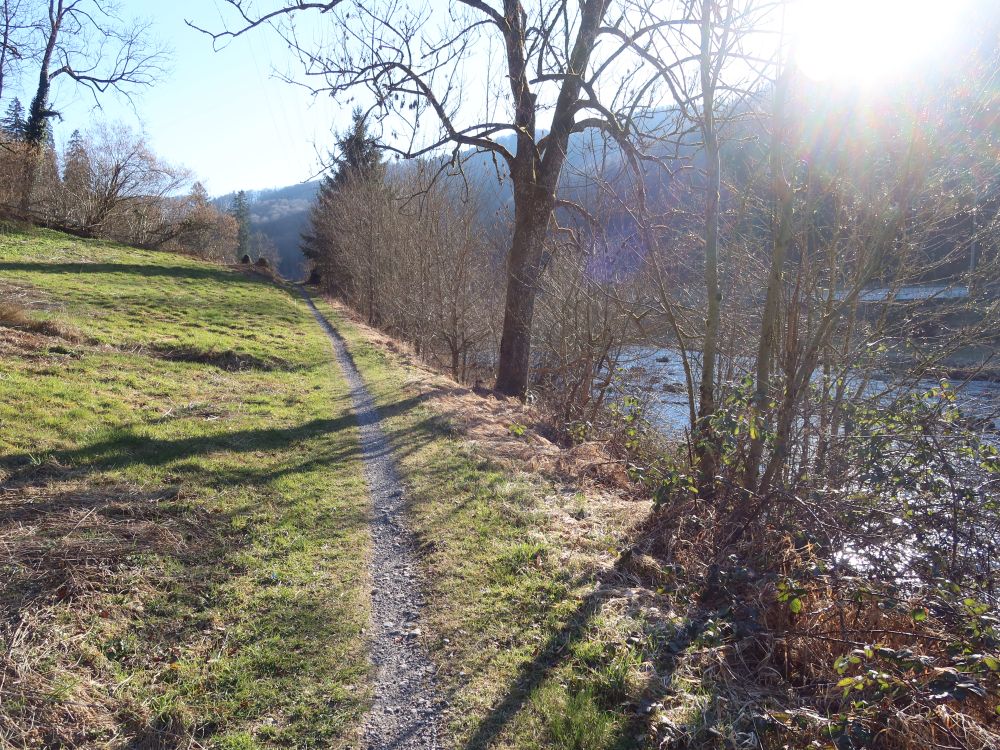 Sparrenauweg an der Sihl