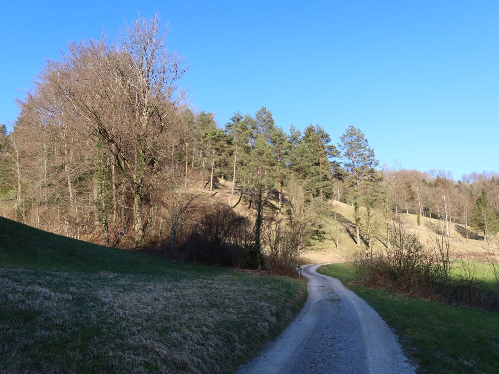 In der unteren Halden
