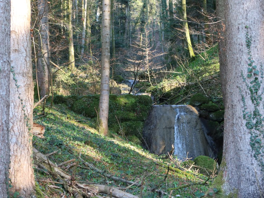 kleiner Wasserfall