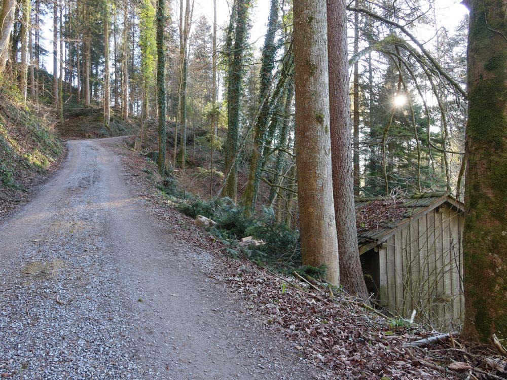 In der unteren Halden