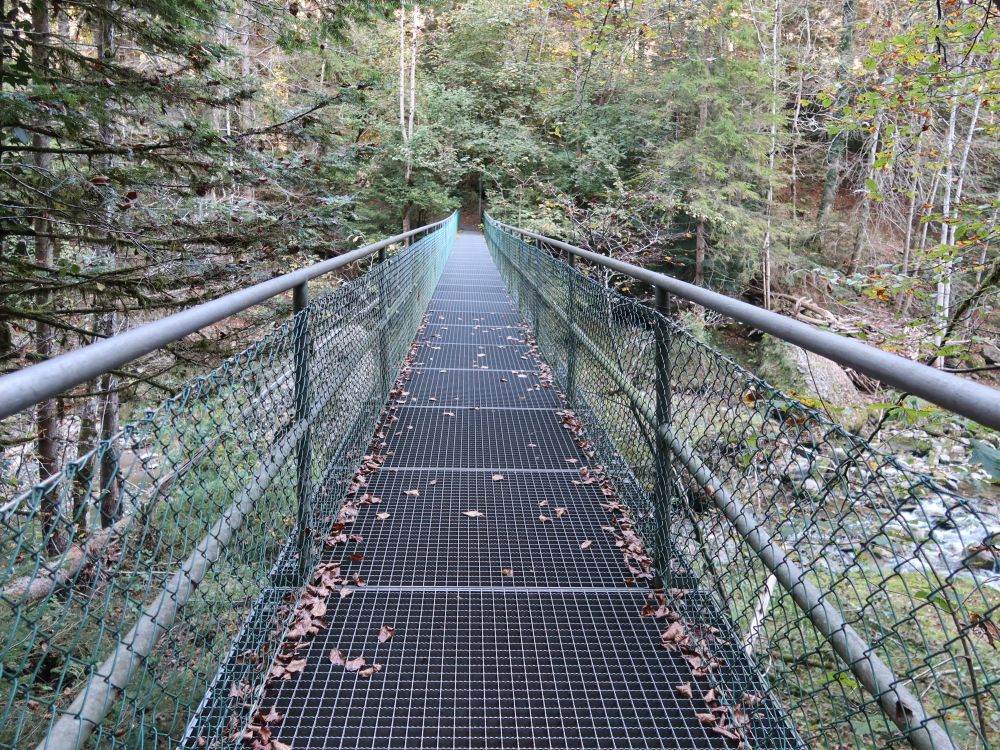 Sihlbrücke beim Sihlsprung