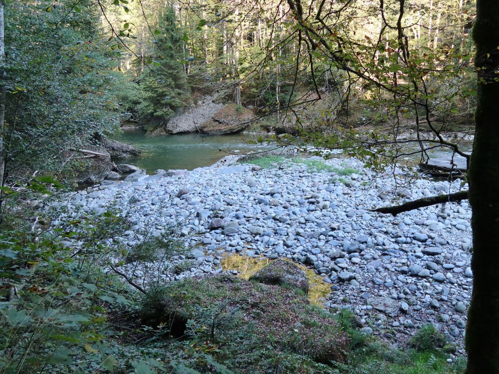 Kieselsteine am Sihlufer