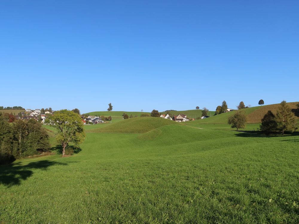 hügelige Landschaft bei Müliacher