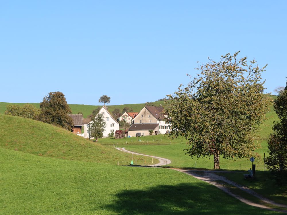 Blick Richtung Sprüermüli